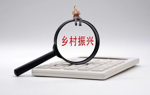 打通金融“最后一公里”，以多元服務(wù)賦能鄉(xiāng)村振興